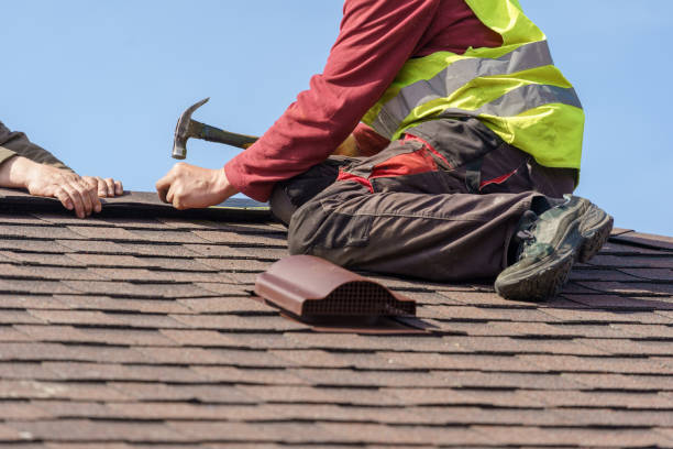 Best Metal Roofing Contractor  in Fergus Falls, MN