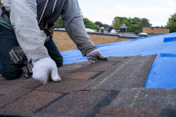 Best Shingle Roofing Installation  in Fergus Falls, MN