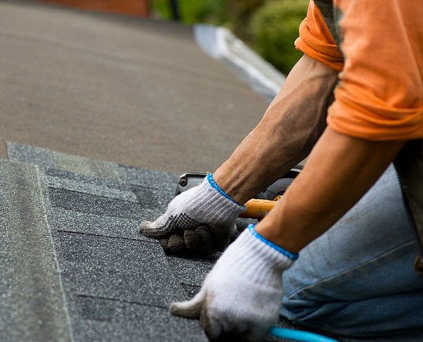 Best Local Roofing Companies  in Fergus Falls, MN