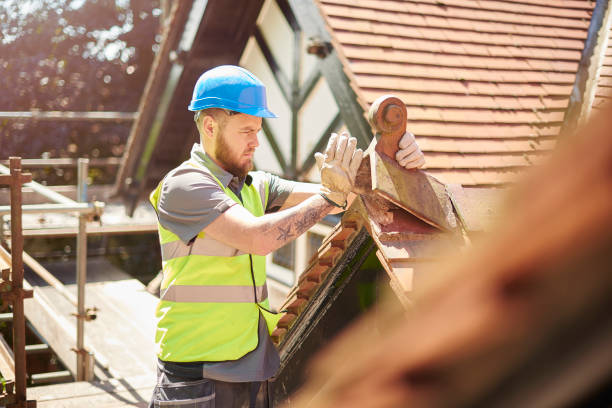 Best Storm Damage Roof Repair  in Fergus Falls, MN