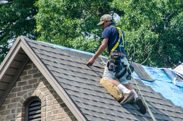 Best Sealant for Roof  in Fergus Falls, MN